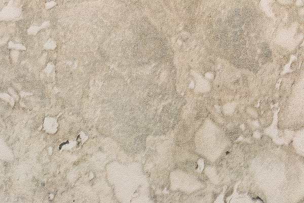 Seville Delfi 3x24 Bullnose Porcelain Tile