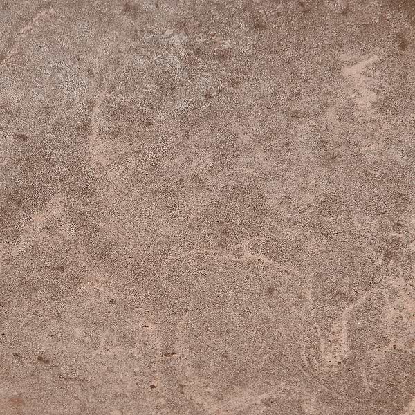 Terra Villa Gray 4" Hex Matte Presealed Genuine Terracotta Tile
