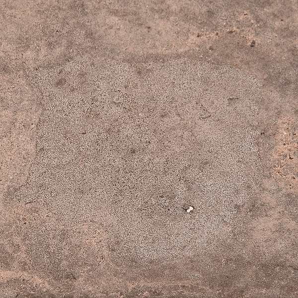 Terra Villa Gray 6" Triangle Matte Presealed Genuine Terracotta Tile