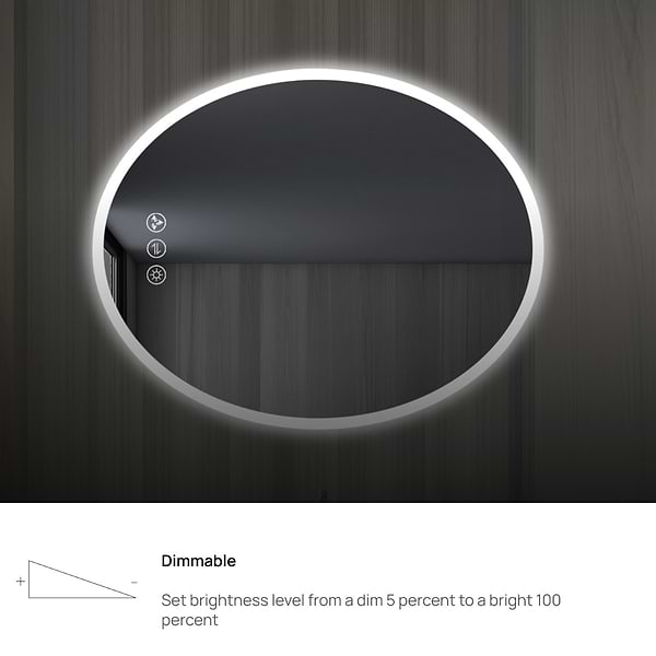 Rige 20x36" Oval LED Mirror