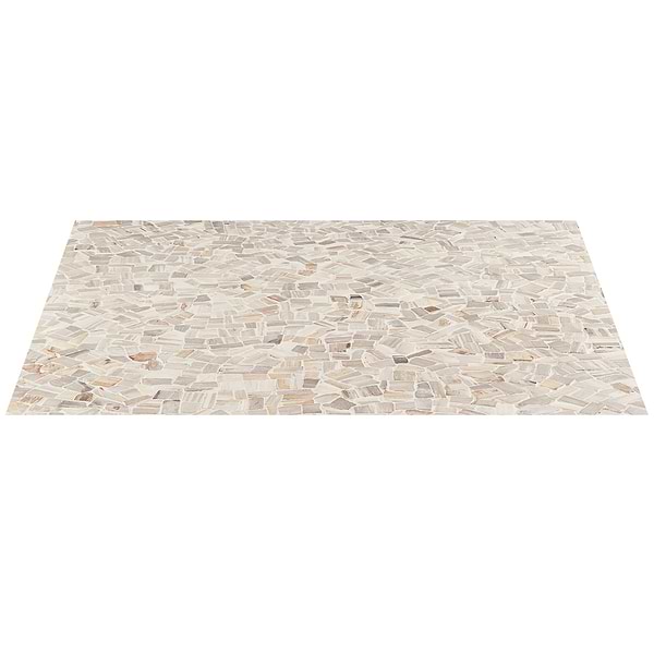 Fossil Tumbled Petrified Stone Mosaic
