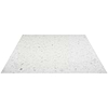 Terrazzo Italy Sacra Bianco White 24x24 Honed Terrazzo Tile