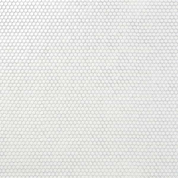 Eden Winter White Rimmed 1" Hexagon Polished Porcelain Mosaic