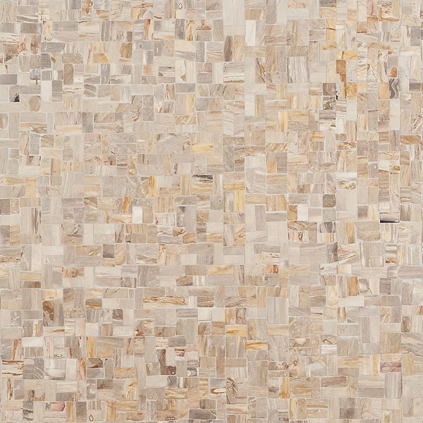 Fossil Antique Petrified Stone Mosaic