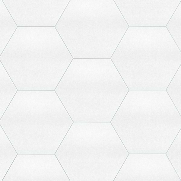 Simple White 10" Hexagon Crystallized Thassos Tile