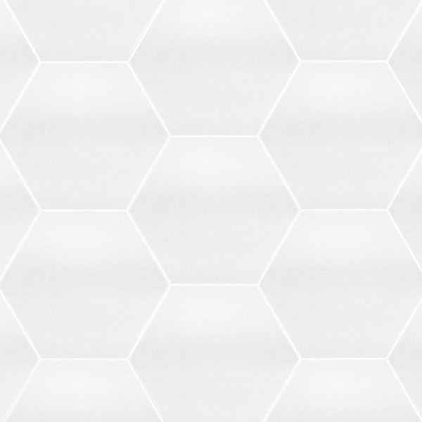 Simple White 10" Hexagon Crystallized Thassos Tile