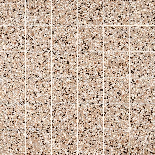 Chips Macro Terracotta Coral Orange 8x8 Terrazzo Look Matte Porcelain Tile