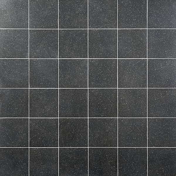 Art Geo by Elizabeth Sutton Terrazzo Charcoal Black 8x8 Matte Porcelain Tile