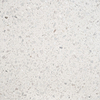 Terrazzo Italy Sacra Bianco White 24x24 Honed Terrazzo Tile