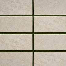 Ocean Reef Beige 12x24 Brushed Limestone 3CM Outdoor Paver