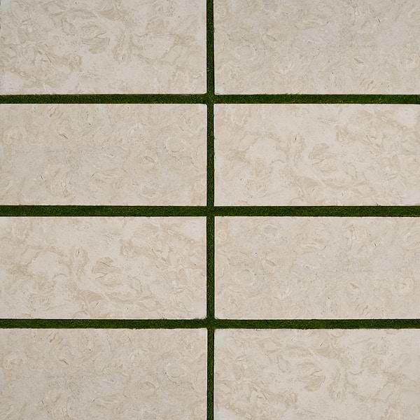 Ocean Reef Beige 12x24 Brushed Limestone 3CM Outdoor Paver