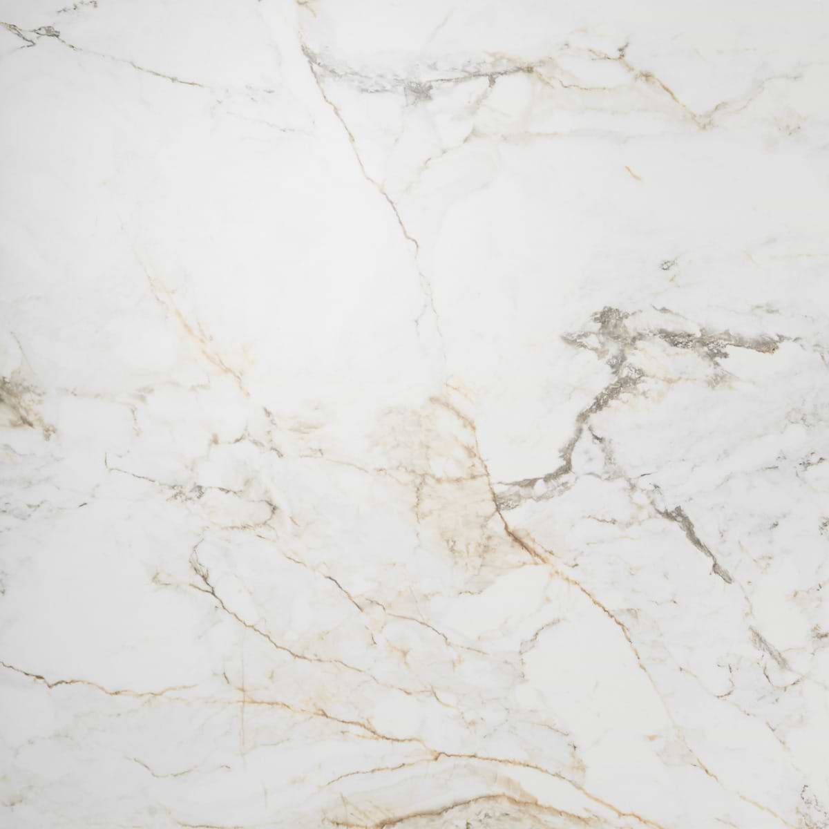Calacatta Macchia White Gold 48x48 Marble Look Matte Porcelain Tile
