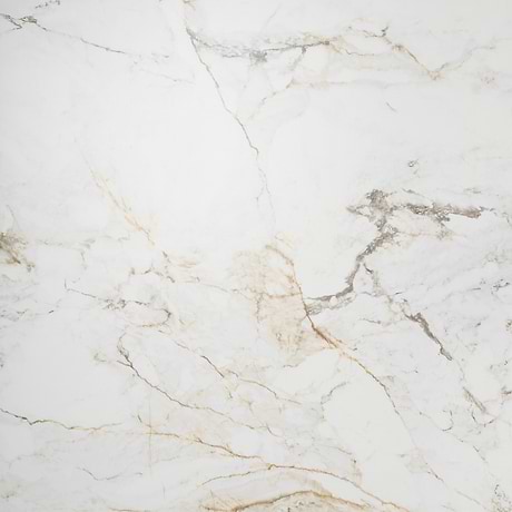 Calacatta Machia White Gold 48x48 Marble Look Matte Porcelain Tile