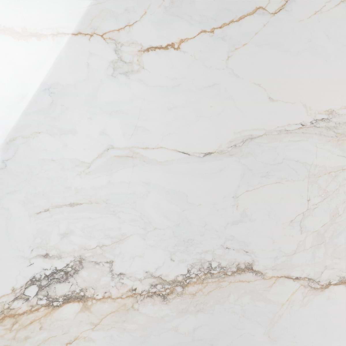 Calacatta Macchia White Gold 48x48 Marble Look Polished Porcelain Tile