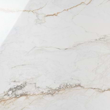 Calacatta Machia White Gold 48x48 Marble Look Polished Porcelain Tile