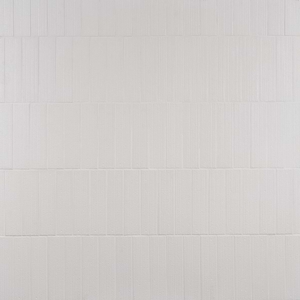 Charlotte Cloud White 3x10 Textured Matte Ceramic Subway Tile