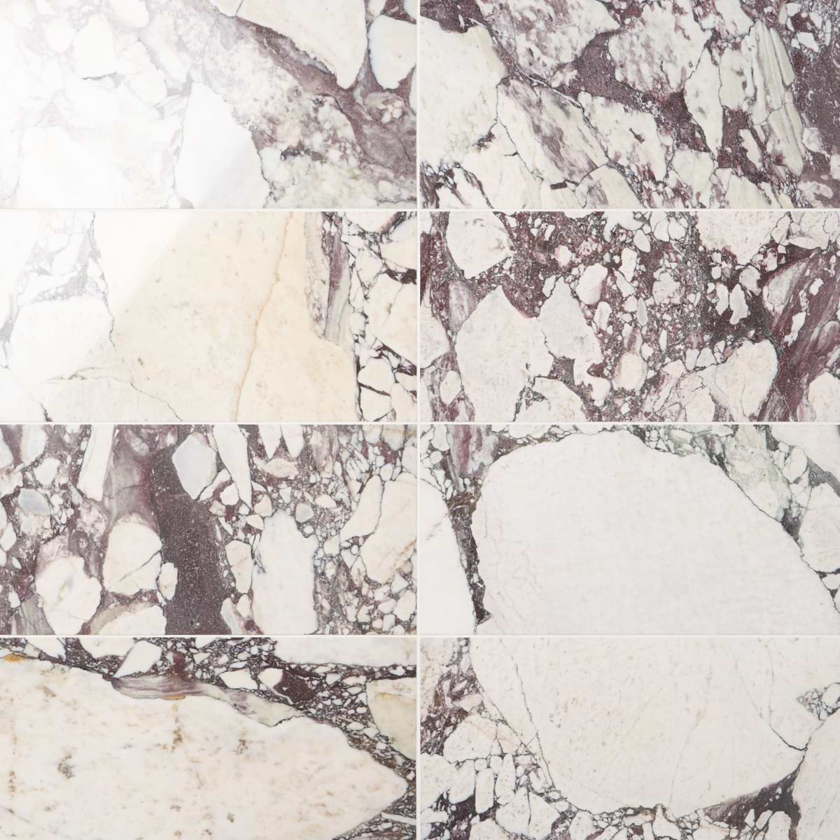 Calacatta Viola Premium 12x24 Polished Marble Tile