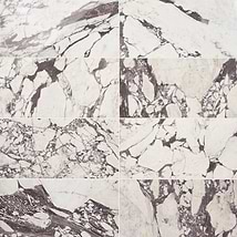 Calacatta Viola Premium 12x24 Polished Marble Tile