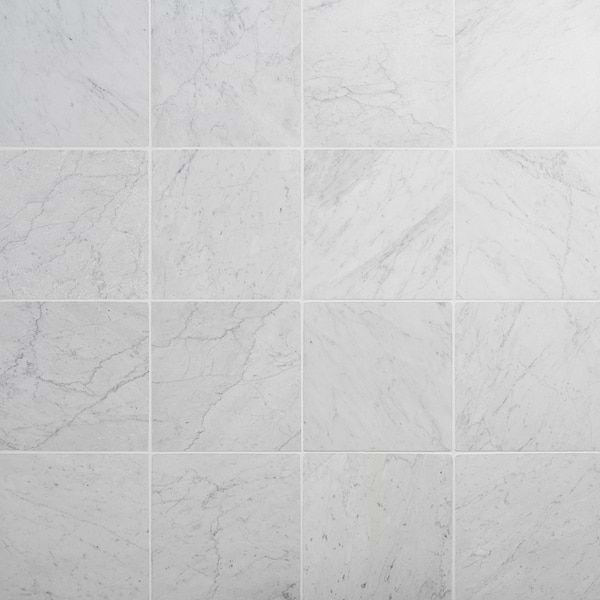 Avanti Bianco Carrara White 12x12 Tumbled Marble Tile
