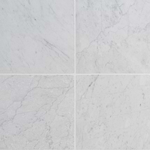 Avanti Bianco Carrara White 12x12 Tumbled Marble Tile