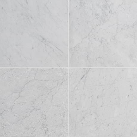 Avanti Bianco Carrara White 12x12 Tumbled Marble Tile