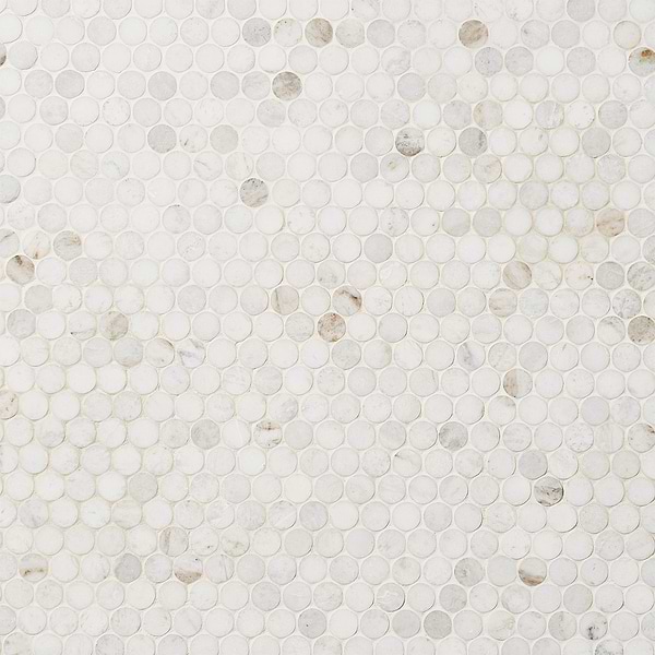 Alaska White 3/4" Penny Round Polished Mosaic Tile