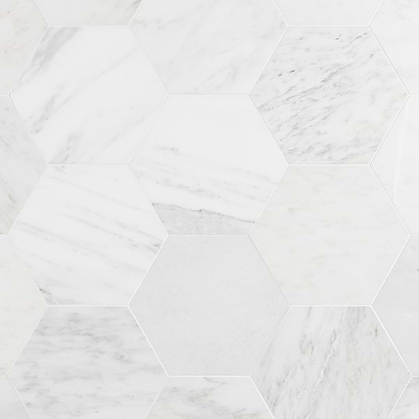 Asian Statuary 10" Hexagon Honed Marble Tile