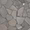 Nature Flagstone Jumbo Java Gray Honed Marble Mosaic Tile