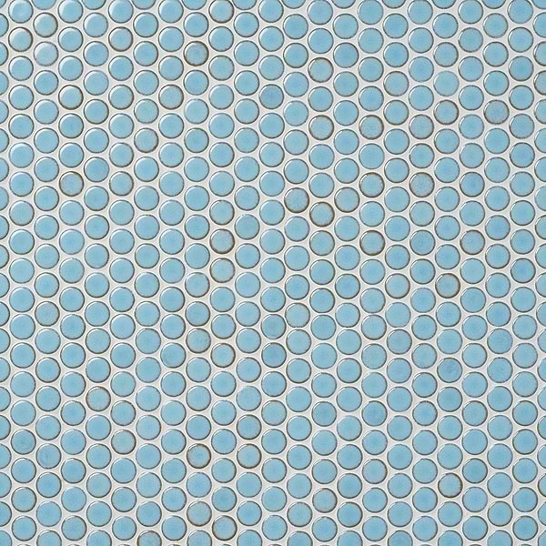 Nirvana Bliss Rimmed 1" Circles Porcelain Mosaic