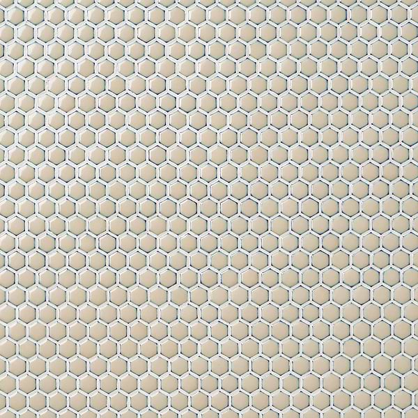 Eden Latte Beige Rimmed 1" Hexagon Polished Porcelain Mosaic