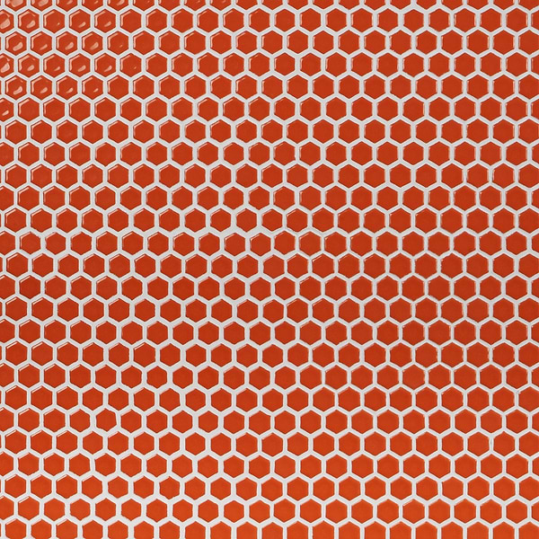 Eden Orange Nectar Rimmed 1" Hexagon Polished Porcelain Mosaic
