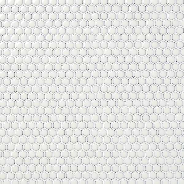 Eden Winter White Rimmed 1" Hexagon Polished Porcelain Mosaic