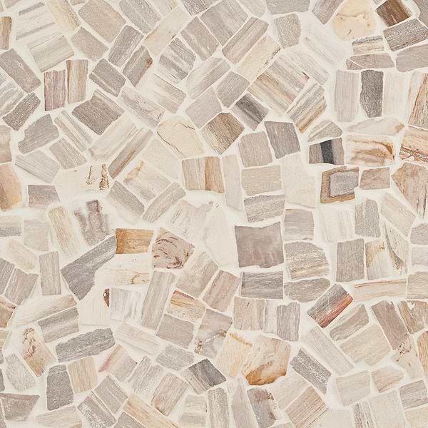 Fossil Tumbled Petrified Stone Mosaic