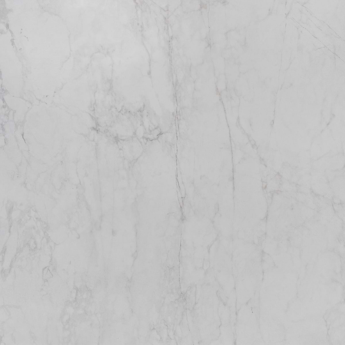 Autograph Caldia Oro White 48x48 Marble Look Satin Porcelain Tile