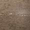 Portrait Copper 24x48 Matte Porcelain Tile