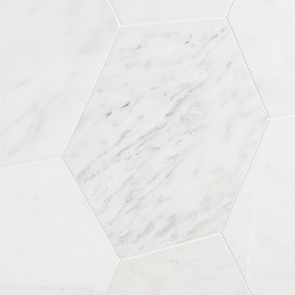 Asian Statuary 10" Hexagon Honed Marble Tile