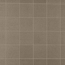 Elemental Abrasive Gray 6x6 Ceramic Quarry Tile