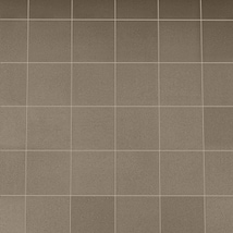 Elemental Ironspot Gray 6x6 Ceramic Quarry Tile
