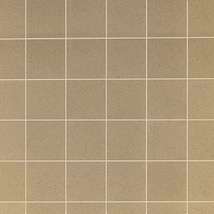 Elemental Ironspot Beige 6x6 Ceramic Quarry Tile