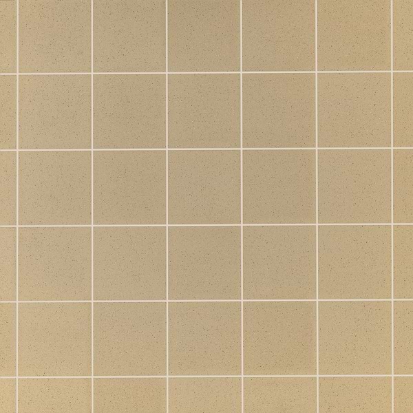Elemental Ironspot Beige 8x8 Ceramic Quarry Tile