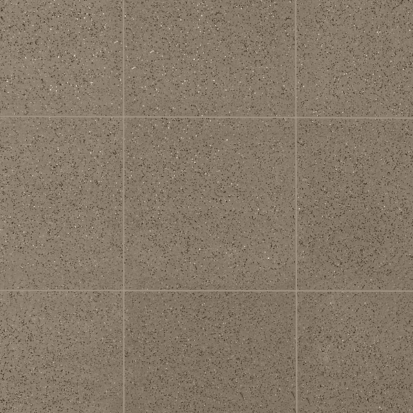 Elemental Abrasive Gray 6x6 Ceramic Quarry Tile