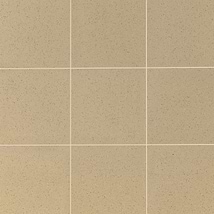 Elemental Ironspot Beige 8x8 Ceramic Quarry Tile