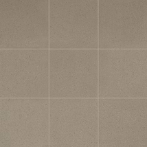 Elemental Ironspot Gray 8x8 Ceramic Quarry Tile