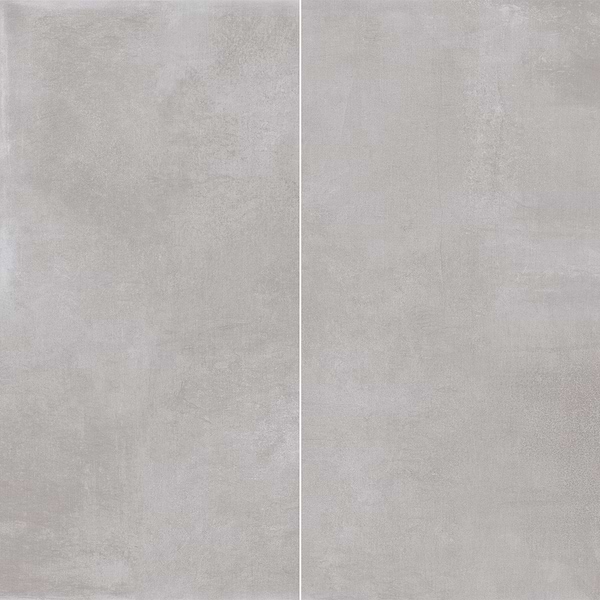 Essence Silver Gray 24x48" Matte Porcelain Tile in Light Gray, View 1