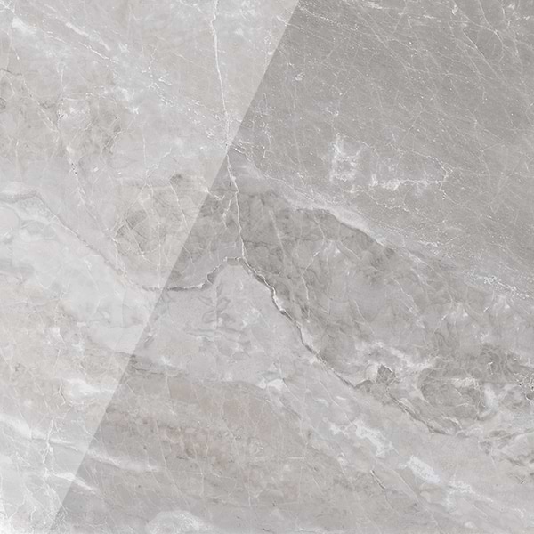Geologic Gray 24x24 Polished Porcelain Tile