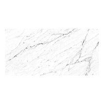Geologic White 24x48 Matte Porcelain Tile