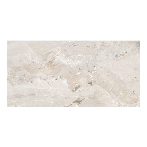 Geologic Ivory Beige 24x48 Matte Porcelain Tile