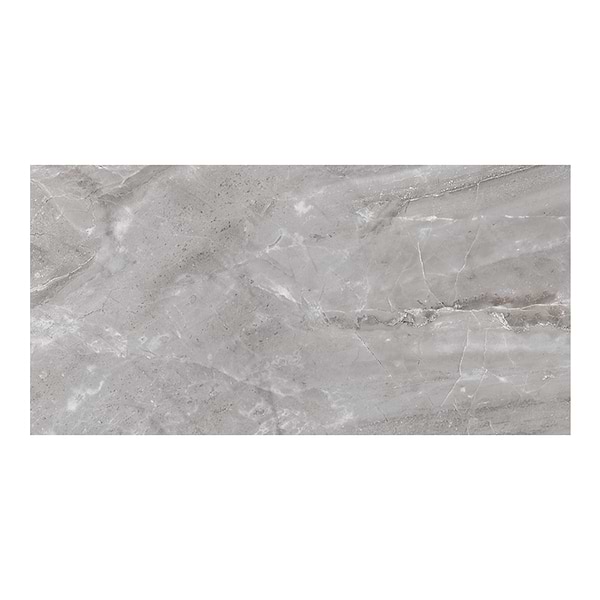 Geologic Gray 24x48 Matte Porcelain Tile
