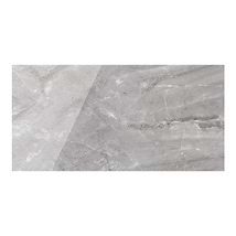 Geologic Gray 24x48 Polished Porcelain Tile
