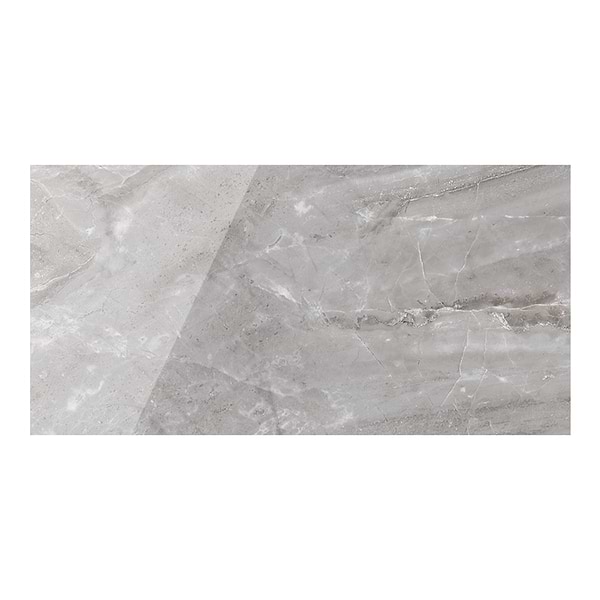 Geologic Gray 24x48 Polished Porcelain Tile